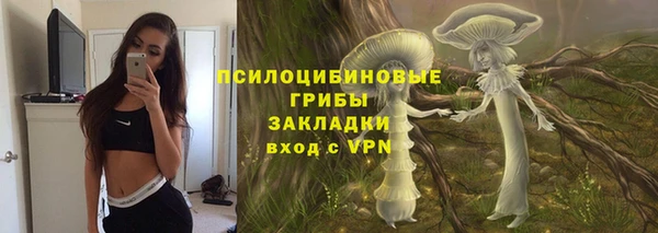 дмт Алзамай