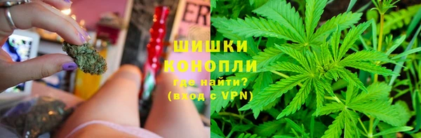 дмт Алзамай
